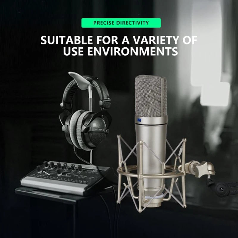 Metal Condenser Microphone Laptop/Computer Professional Microphone Recording Studio Voice Game Broadcaster Streaming Media TLM 1
